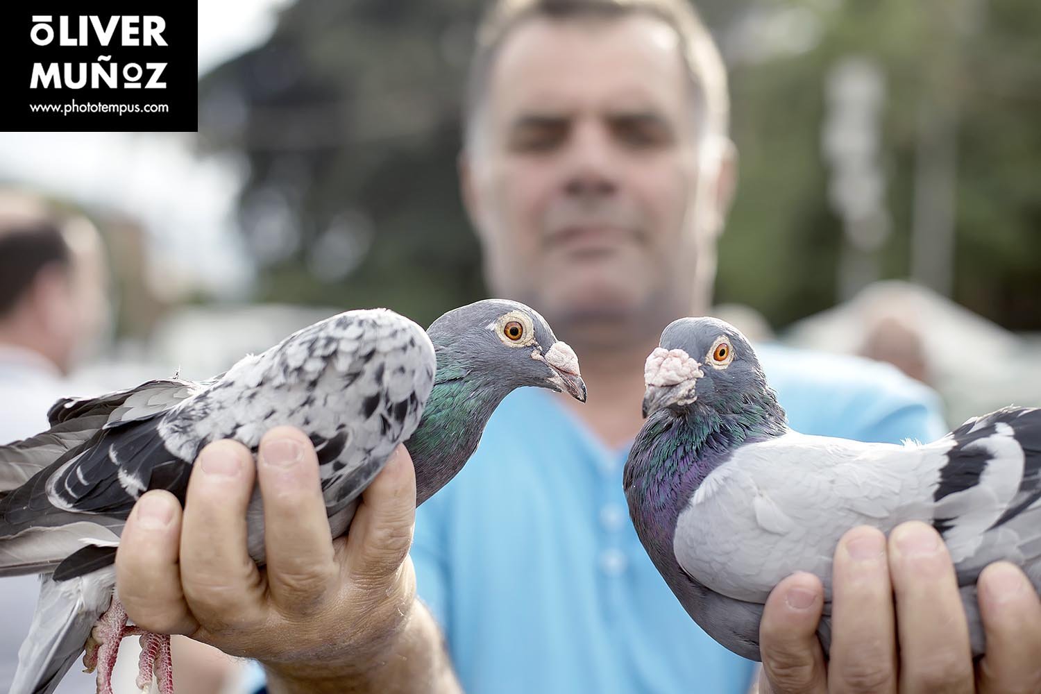 La&nbsp;Albania&nbsp;de&nbsp;Skanderbeg