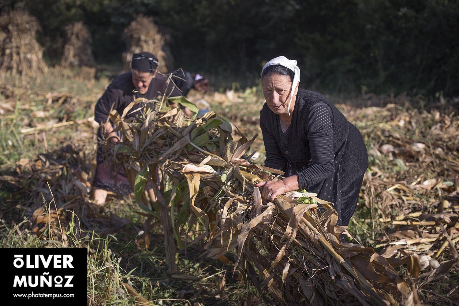 La&nbsp;Albania&nbsp;de&nbsp;Skanderbeg