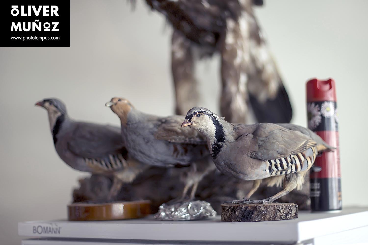 La&nbsp;Albania&nbsp;de&nbsp;Skanderbeg