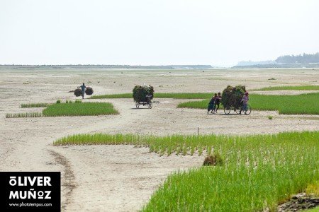 Bangladés, la Pakistán Oriental ( Bangladesh )