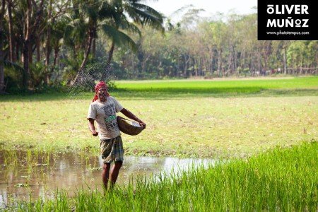 Bangladés, la Pakistán Oriental ( Bangladesh )