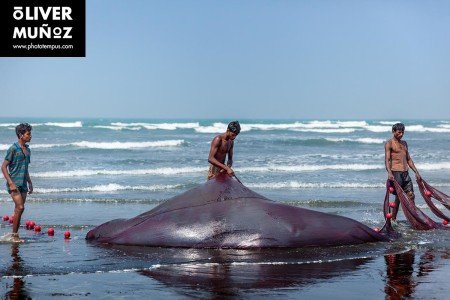 Bangladés, la Pakistán Oriental ( Bangladesh )