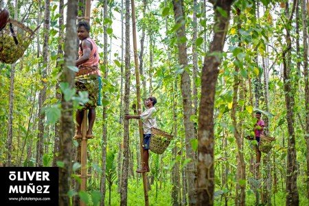 Bangladés, la Pakistán Oriental ( Bangladesh )