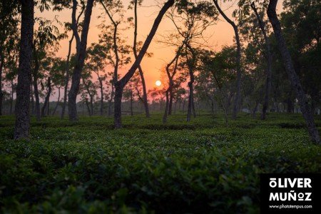 Bangladés, la Pakistán Oriental ( Bangladesh )