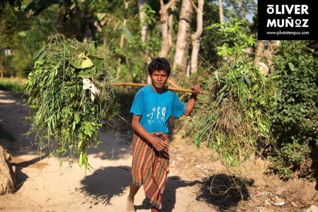 Bangladés, la Pakistán Oriental ( Bangladesh )