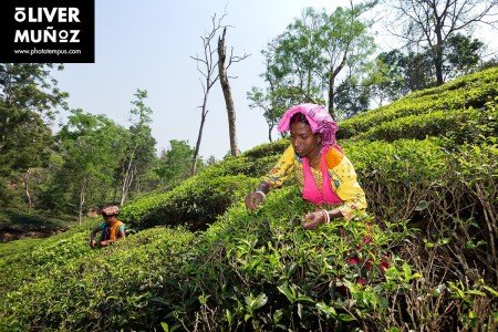 Bangladés, la Pakistán Oriental ( Bangladesh )