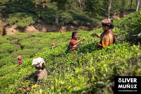 Bangladés, la Pakistán Oriental ( Bangladesh )