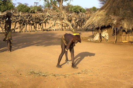 EL origen de la humanidad