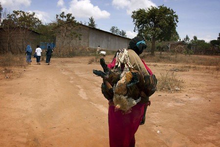 EL origen de la humanidad