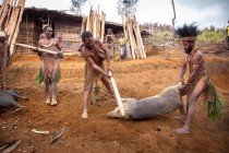 Un pais fascinante, Papua Nueva Guinea