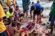 Un pais fascinante, Papua Nueva Guinea