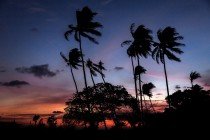 Un pais fascinante, Papua Nueva Guinea