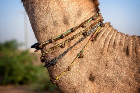 El país de Shiva y de los colores