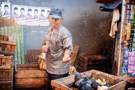 Indonesia, cada isla una cultura