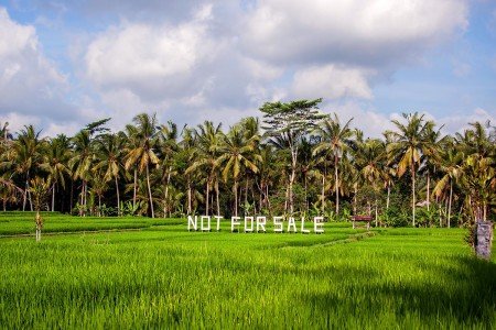 Indonesia, cada isla una cultura
