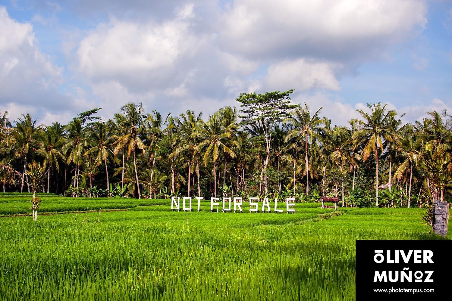 Bali siempre sorprende