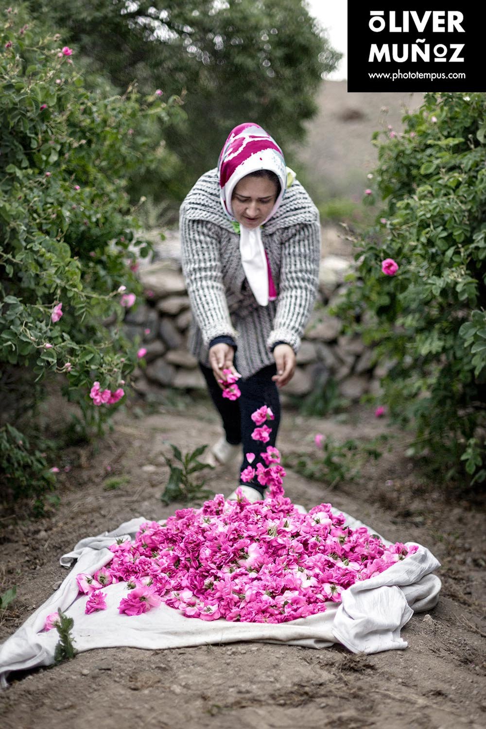 travel trip adventure pictures photographer fotografo fotografia viajes periodismo periodista aventura viaje oliver munoz phototempus retrato portrait muñoztehran isfahan yazd farsi khaju iran persa iman jomeini shahrekord bakhtiari Naqsh-e Jahan hakim ka