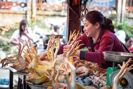 Vietnam y sus renovadas políticas Comunistas de Ho Chi Minh