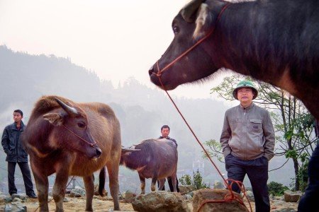 Vietnam y sus renovadas políticas Comunistas de Ho Chi Minh