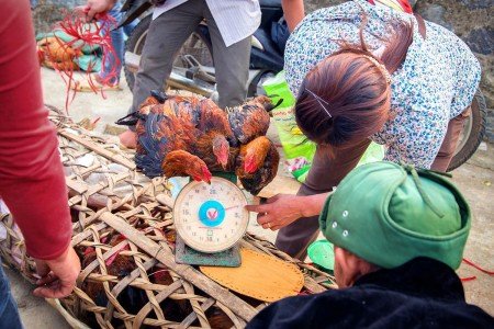 Vietnam y sus renovadas políticas Comunistas de Ho Chi Minh