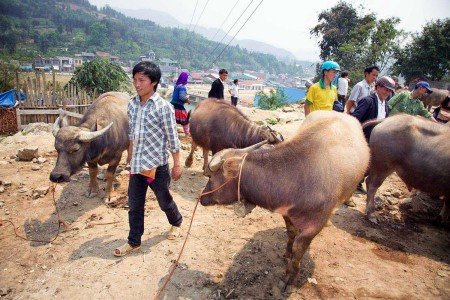 Vietnam y sus renovadas políticas Comunistas de Ho Chi Minh