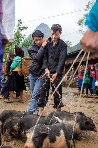 Vietnam y sus renovadas políticas Comunistas de Ho Chi Minh