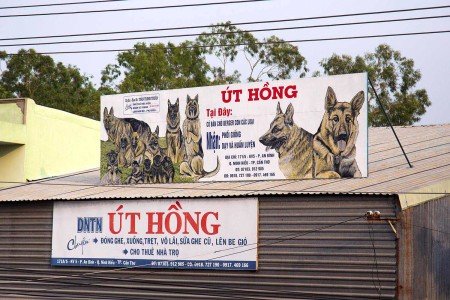 Vietnam y sus renovadas políticas Comunistas de Ho Chi Minh