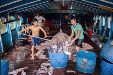 Vietnam y sus renovadas políticas Comunistas de Ho Chi Minh