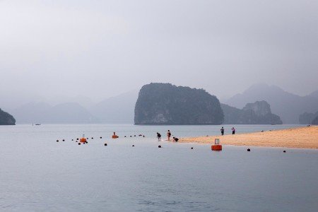 Vietnam y sus renovadas políticas Comunistas de Ho Chi Minh