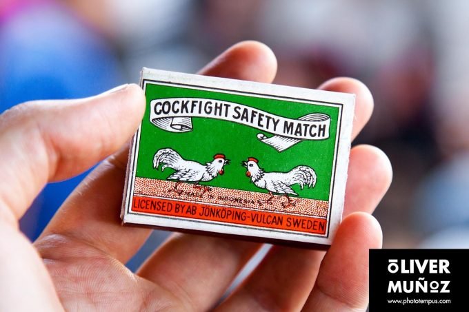 La peleas de gallos en Bali ( Indonesia )