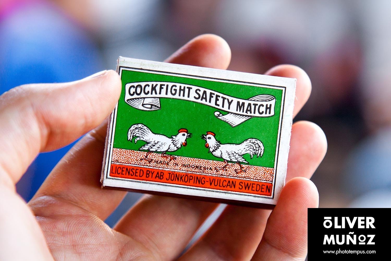 La peleas de gallos en Bali ( Indonesia )