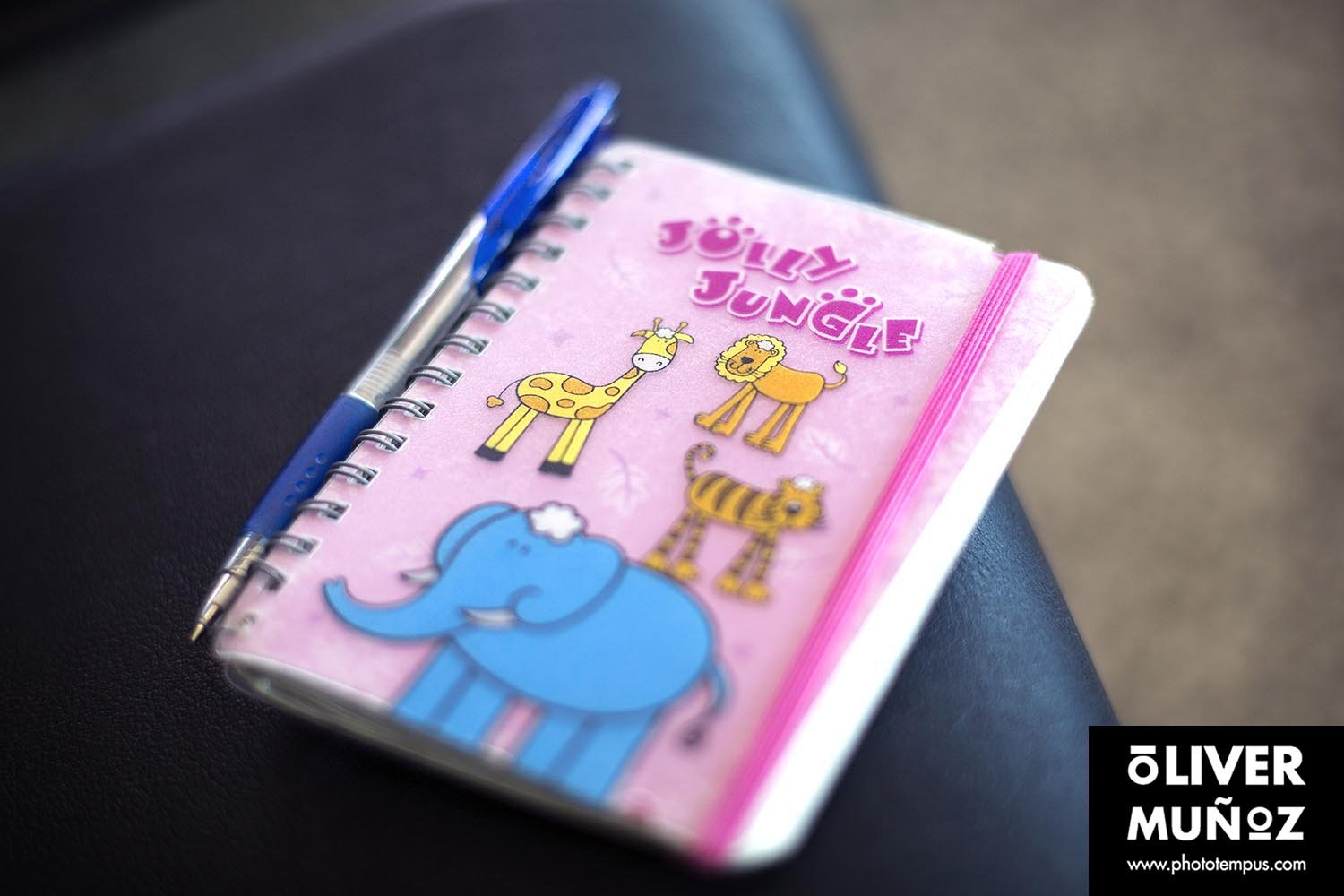 DIARIO DE VIAJE – La Albania de Skanderbeg