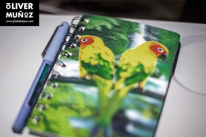 DIARIO DE VIAJE – Iran. La Persia de Imam Jomeini