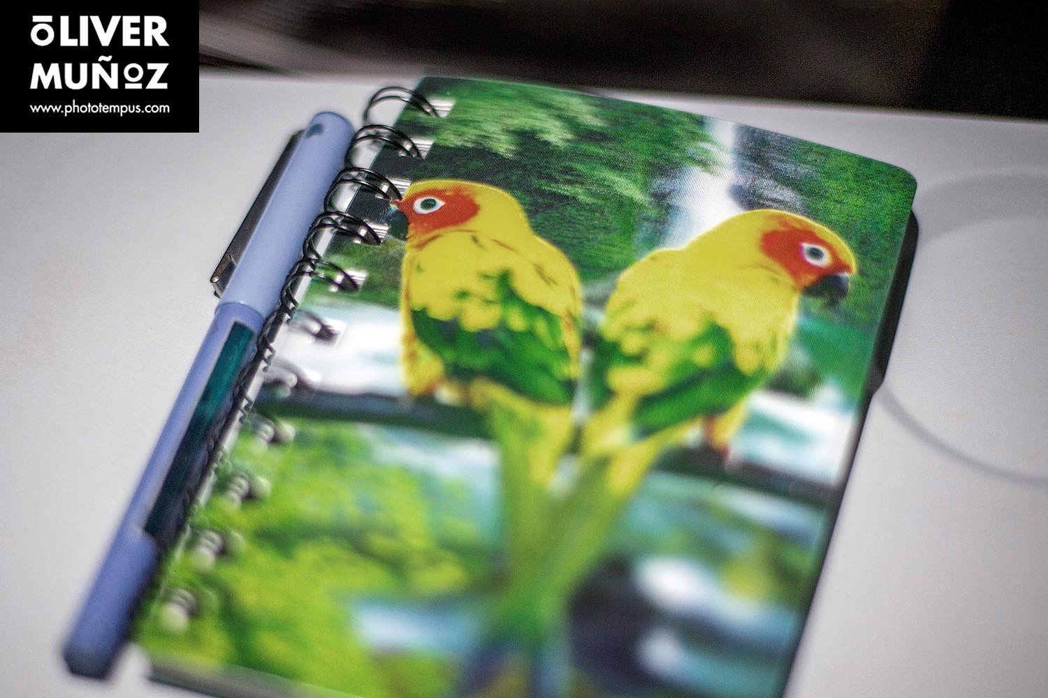 DIARIO DE VIAJE – Iran. La Persia de Imam Jomeini